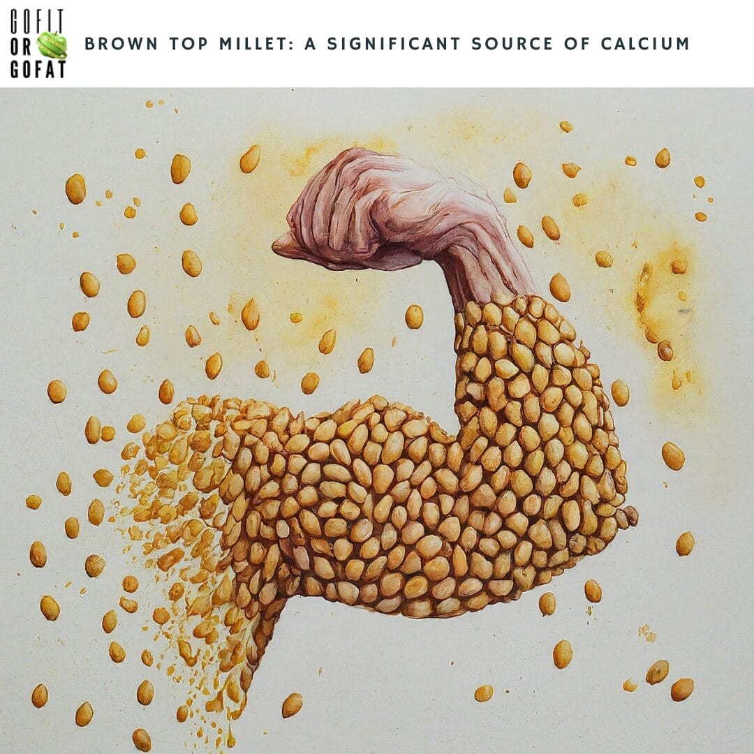 Brown Top Millet Milk being a significant source of calcium helps in maintaining strong bones and teeth